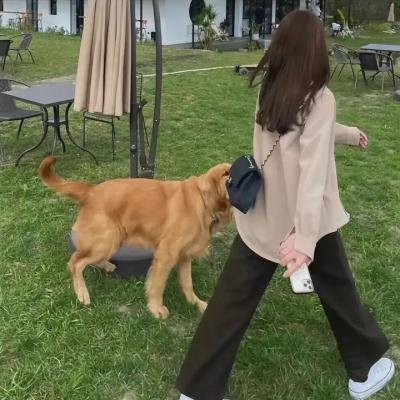 最后通牒